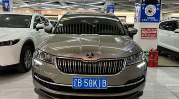 Маленькое фото SKODA KAROQ